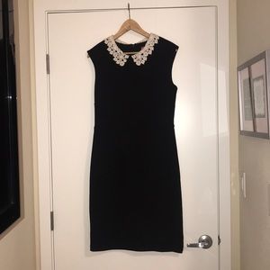 Betsy Johnson Crocheted collar textured sheath